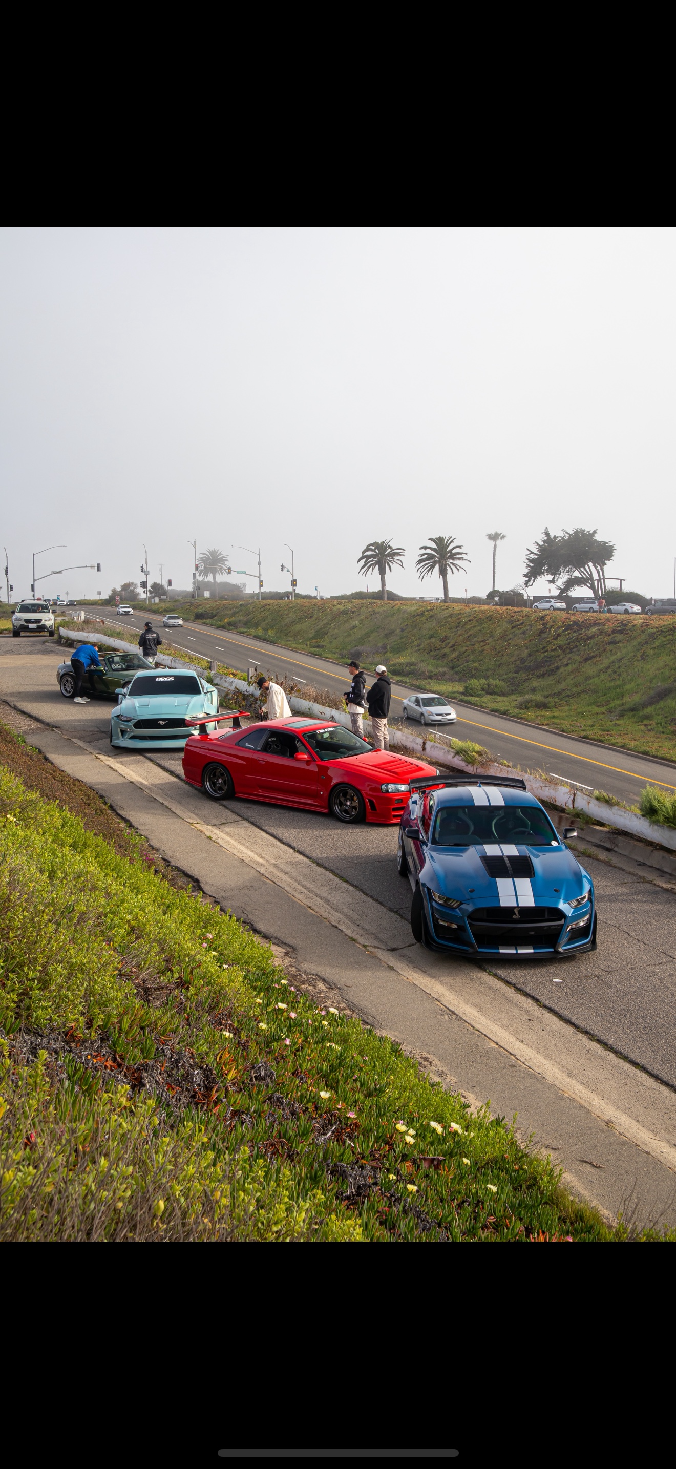 Coastal car meet with R34 Skyline, Shelby GT500, Mustang and MX-5