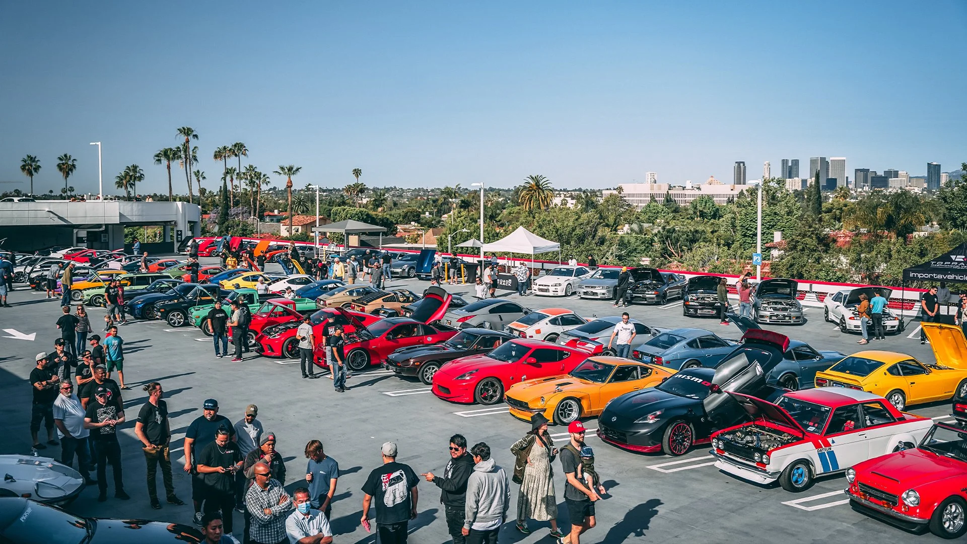 Wide outdoor sports car meet under palm trees